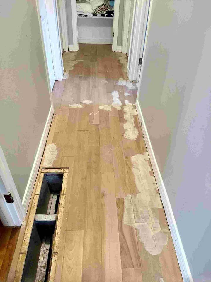 Repair Sand Stain Refinish Royal Hardwood Floors