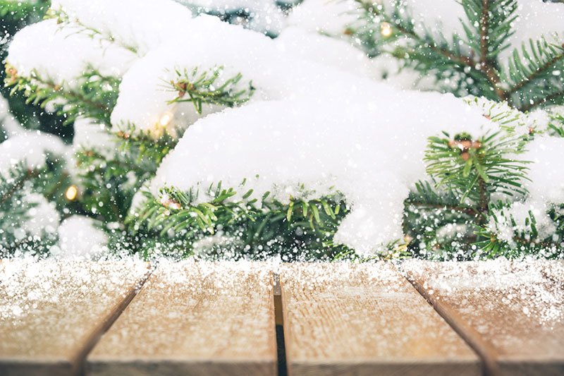 winter hardwood care